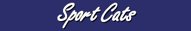 Sport Cats Header