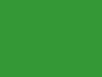 Deep Lime Green