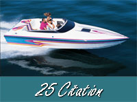 25 Citation