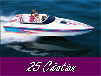 25 Citation