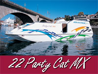 22 Party Cat MX