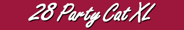 28 Party Cat XL Header