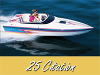 25 Citation